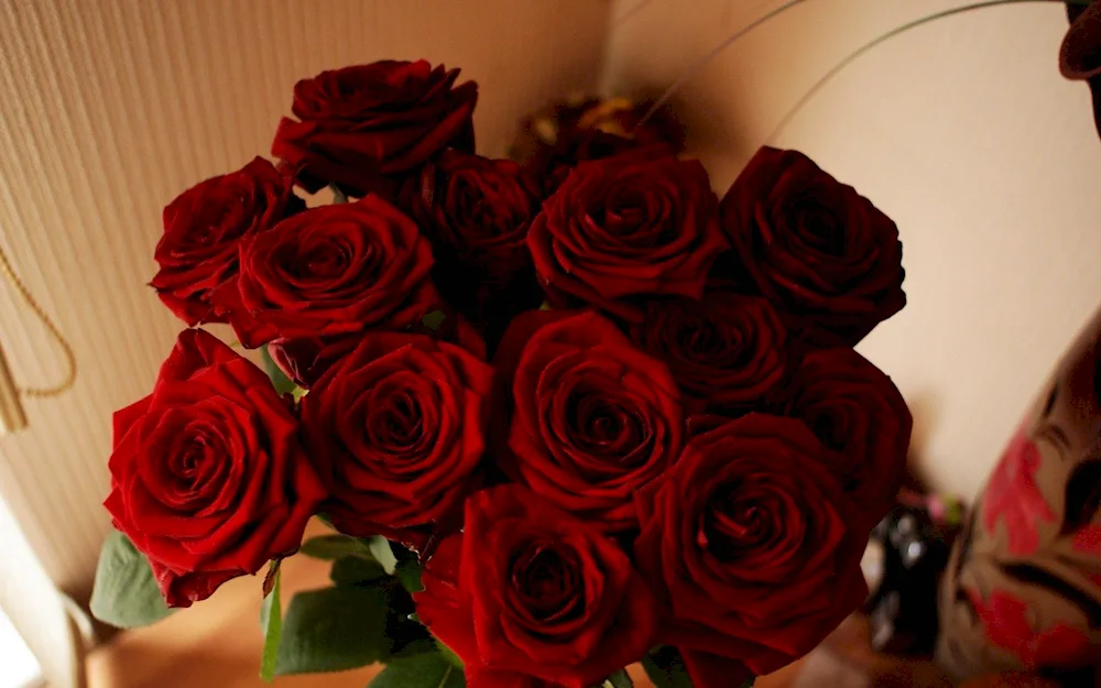 Red roses