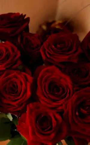 Red roses