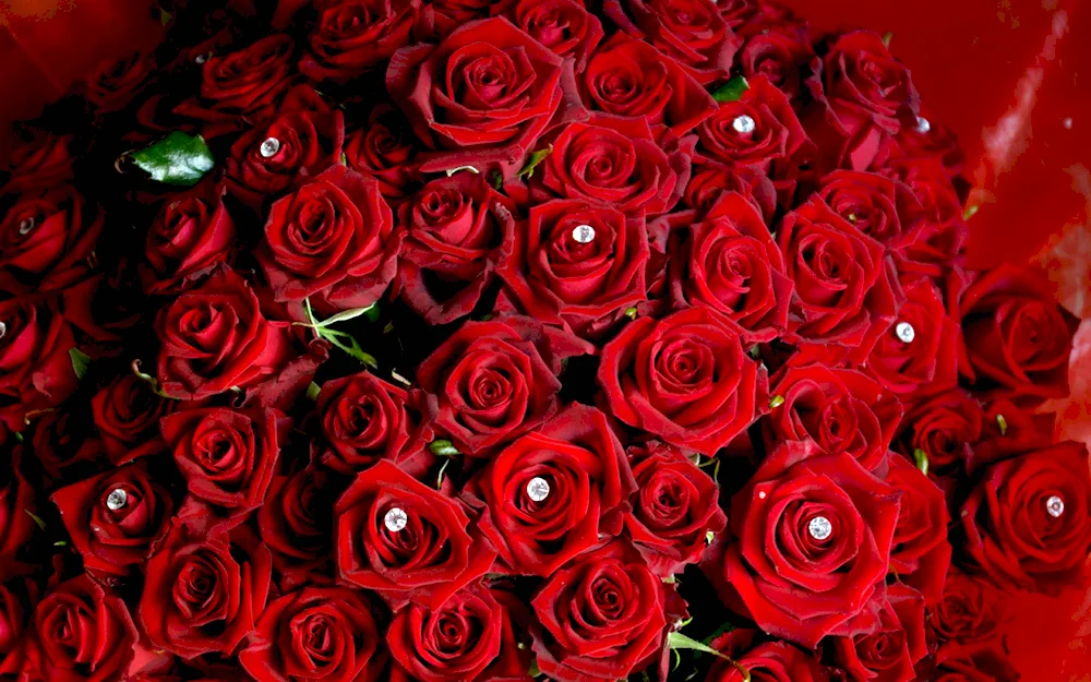 Red roses