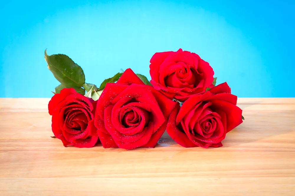 Red rose bouquet