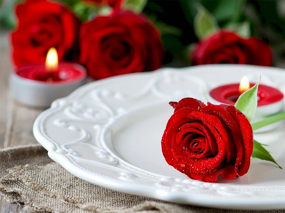 Red roses