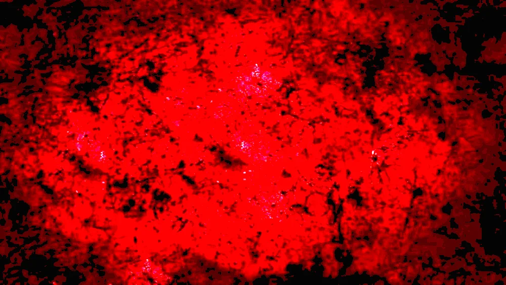 Red dot on black background