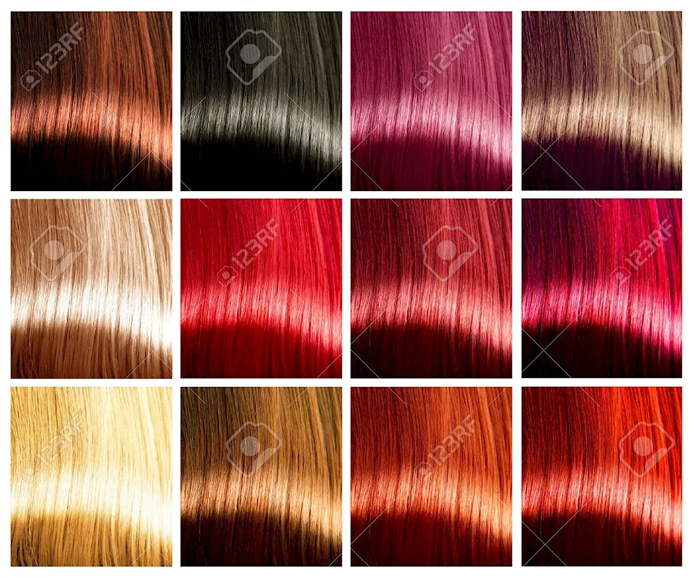 Colorful hair Loreal palette