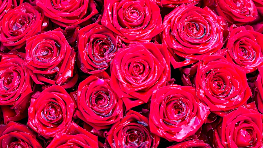 Red flower