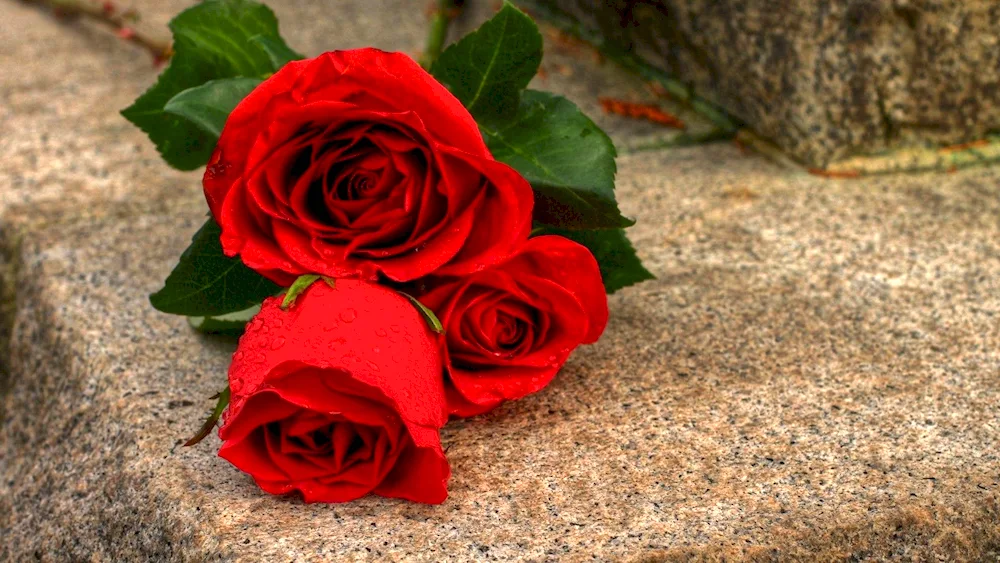 Red flower