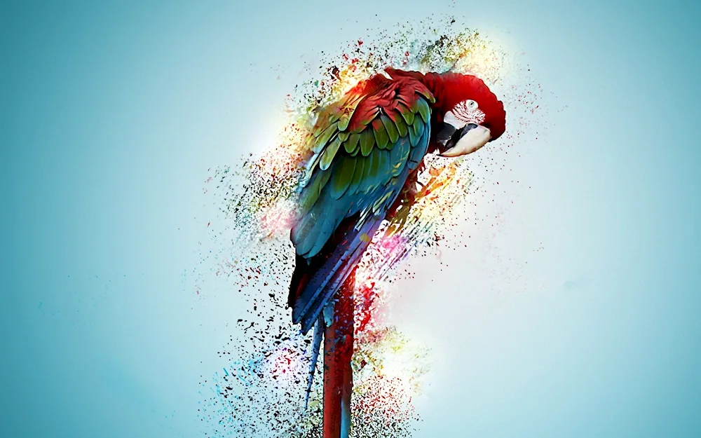 Crow art