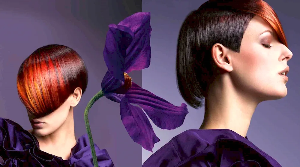 Allegro haircut