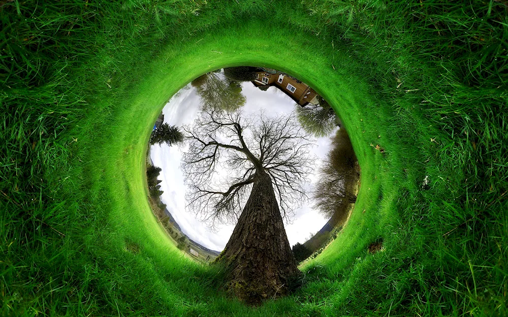 Creative landscape