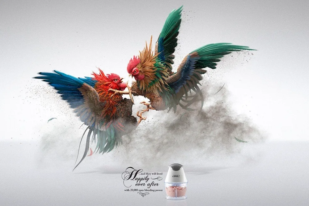 Creative rooster