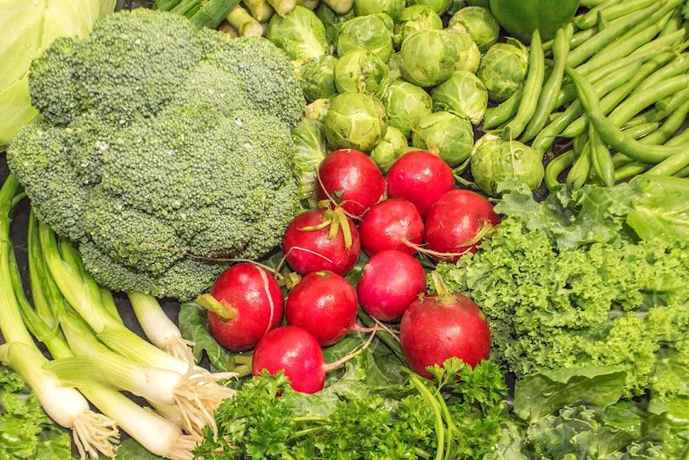 Cruciferous vegetables cabbage