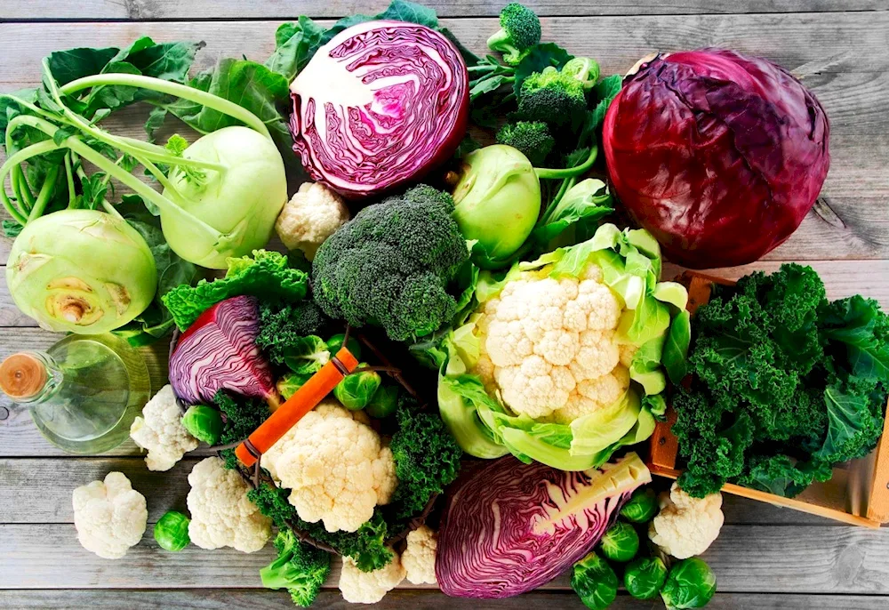Cabbage