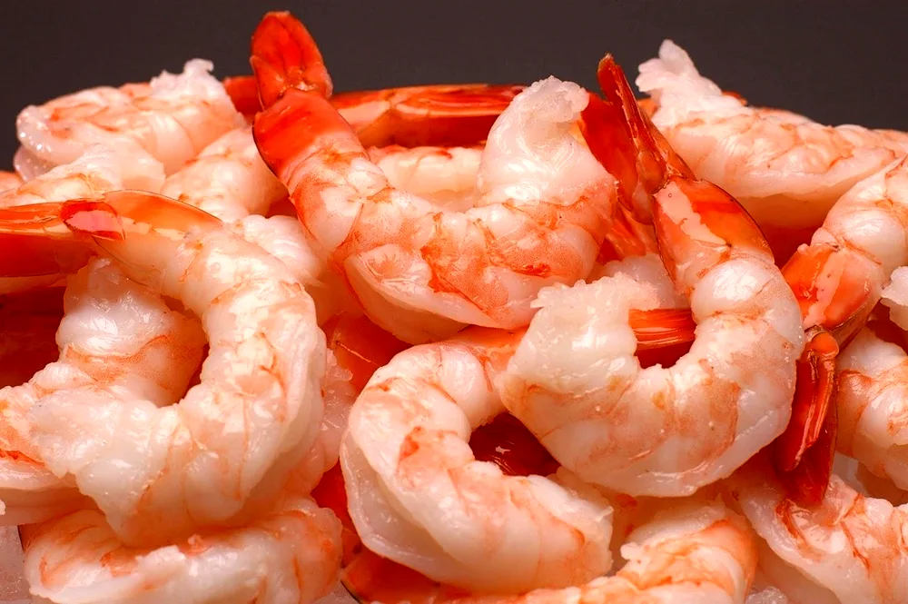 Pandalus Borealis shrimp