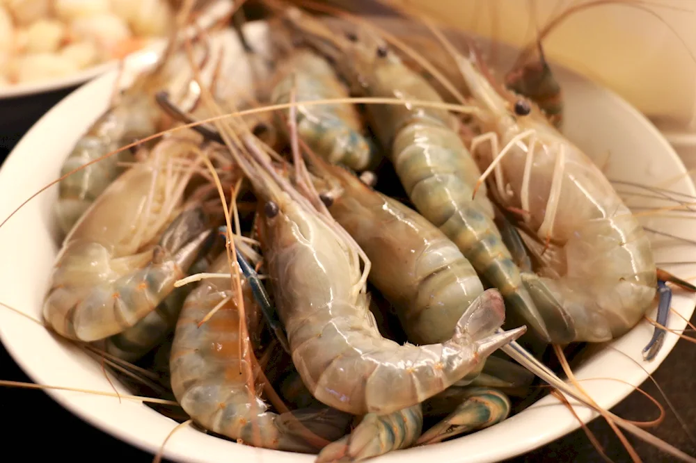 Heatwater shrimp