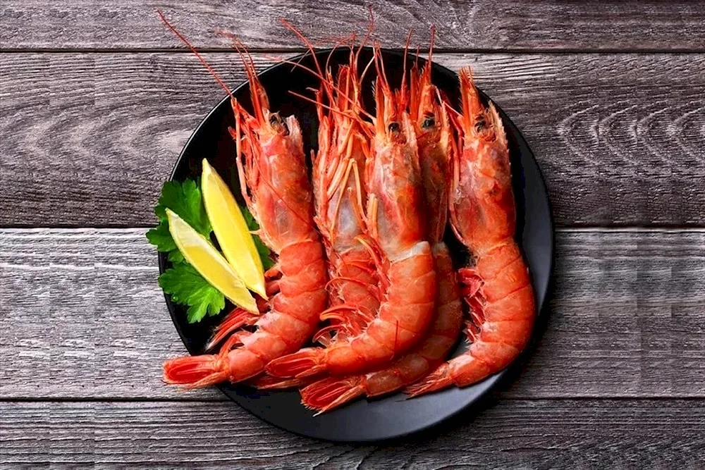 Langoustines l1