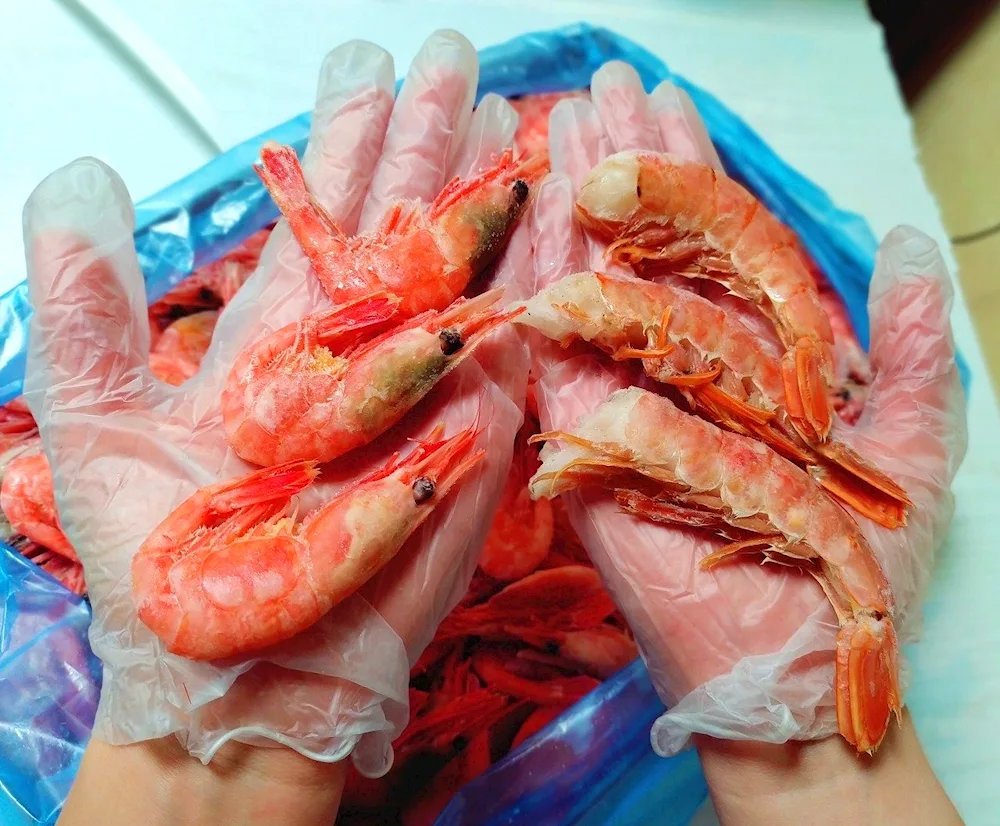 Langostins shrimp l2
