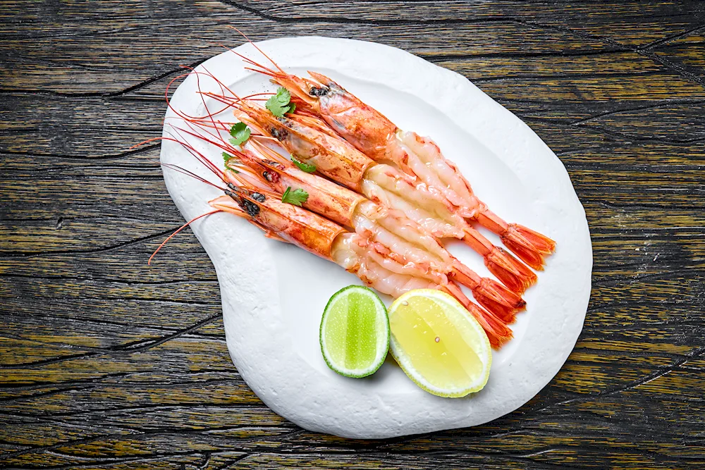Shrimp mussels lobster shrimp l1 lobster shrimp l1 lobster shrimp l1 lobster shrimp l1 lobster shrimp l1 lobster shrimp l1 lobster shrimp l1 lobster shrimp l1 lobster shrimp Lobster lobster lobster lobster scampi