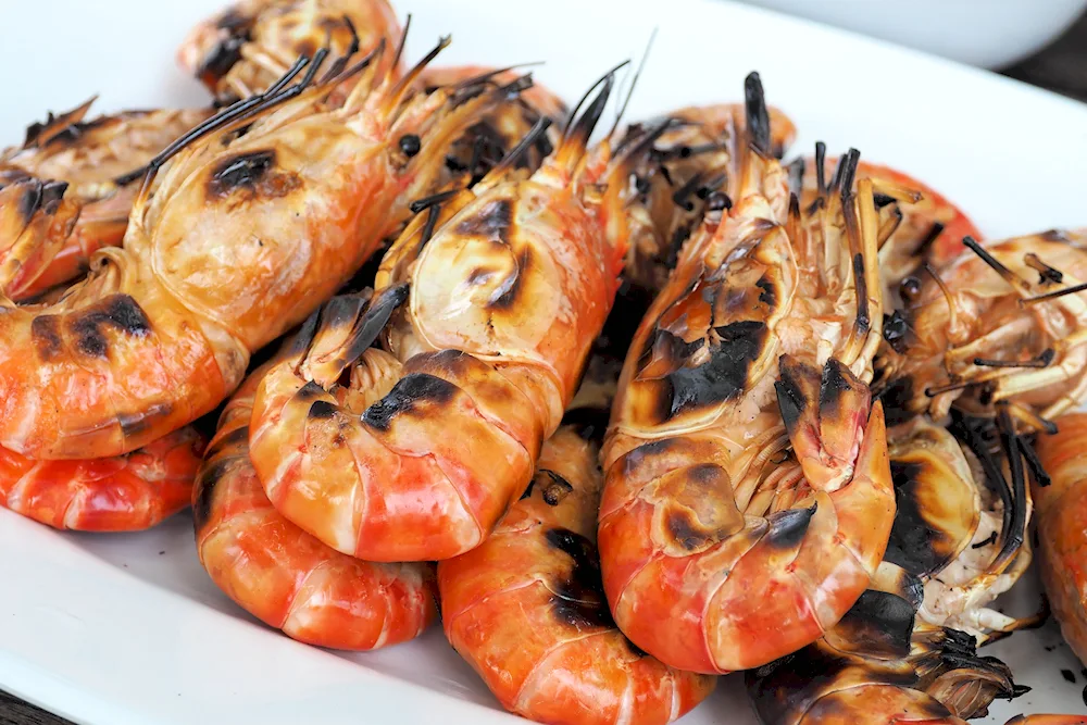 Langostin shrimp l3