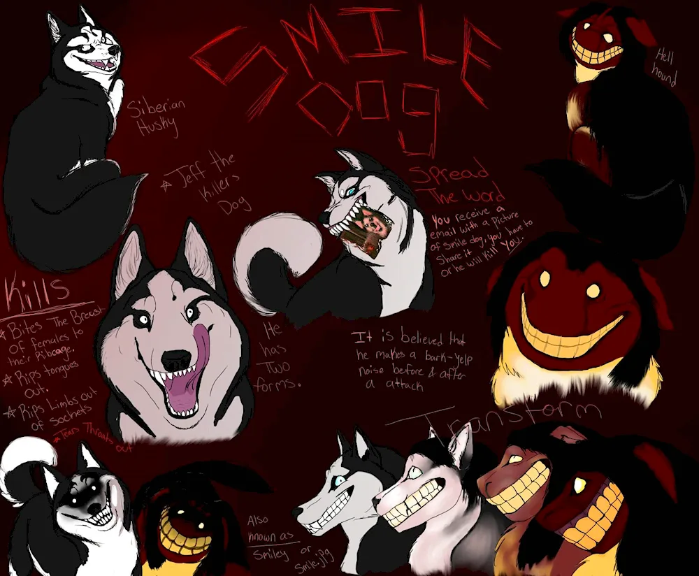 Smile Dog husky creepypasta