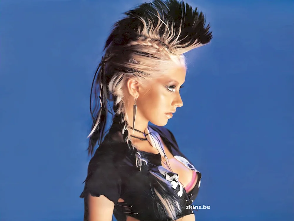Punk hairstyle