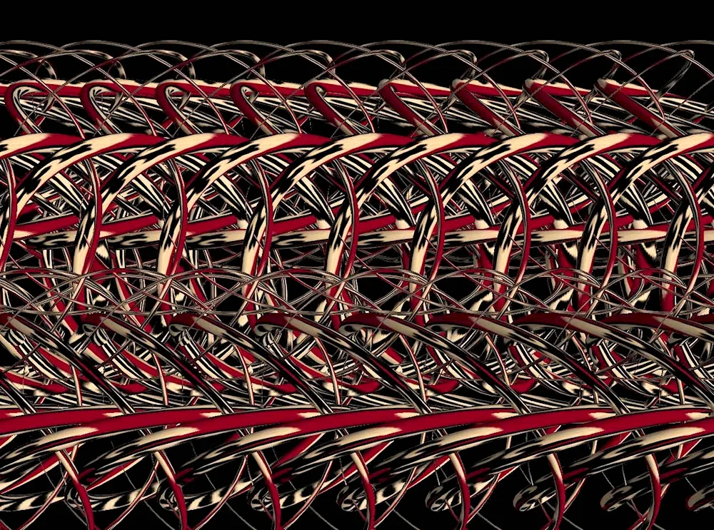 Christopher Tyler stereograms