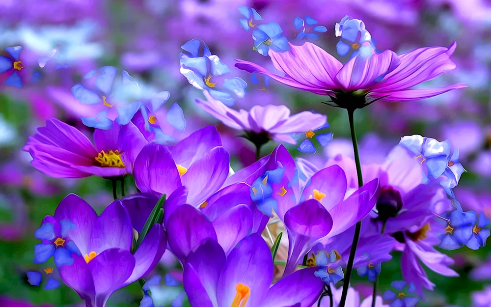 Spring flower background