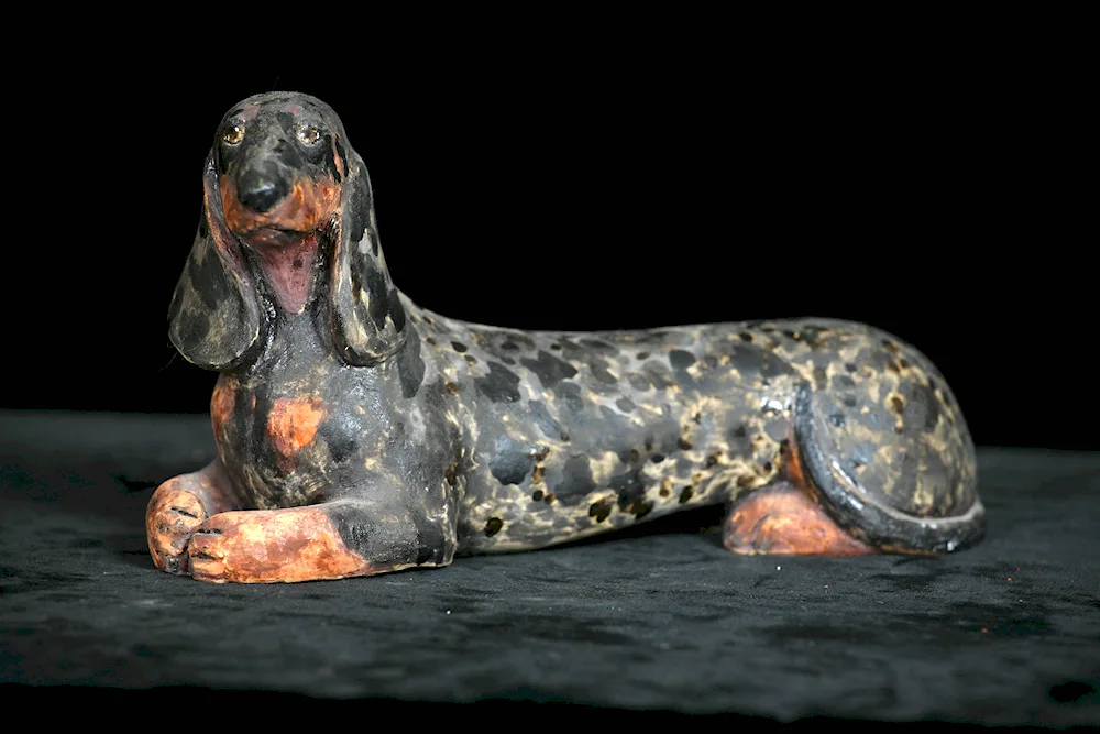 Rabbit dachshund marbled