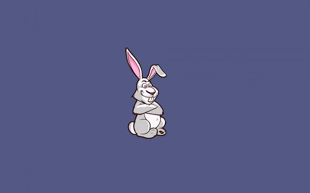 Rabbit Minimalism