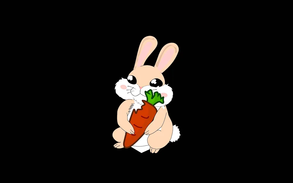 Cute rabbit