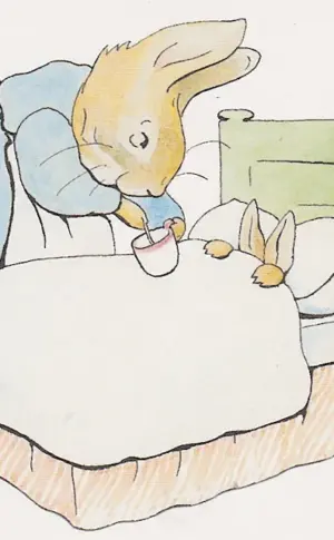 Peter Rabbit Illustration by Beatrix Potter