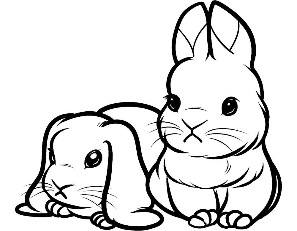 Cute pictures for drawing