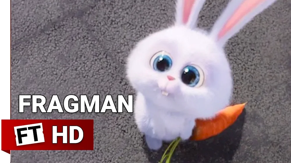 Snowball rabbit The secret life of pets 1