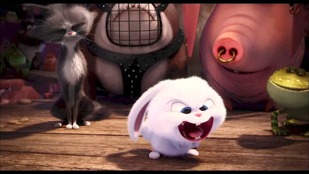 The rabbit from the mf The Secret Life of Pets