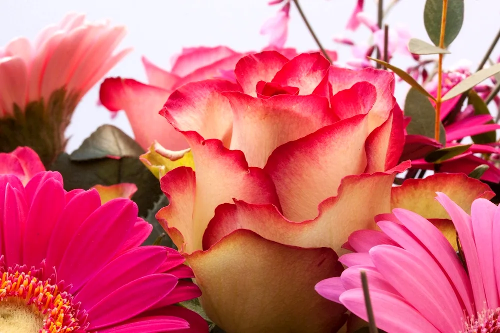 Large flowers