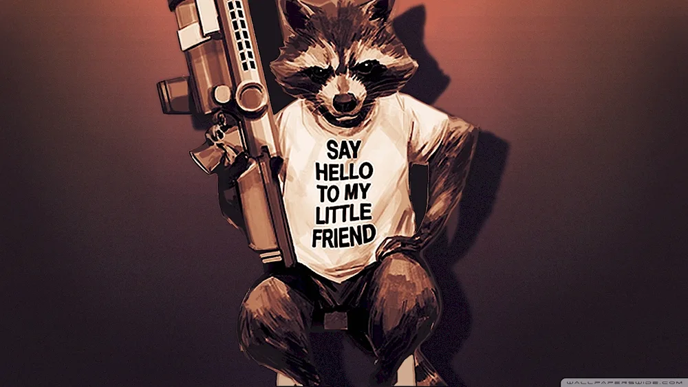 Cool Raccoon