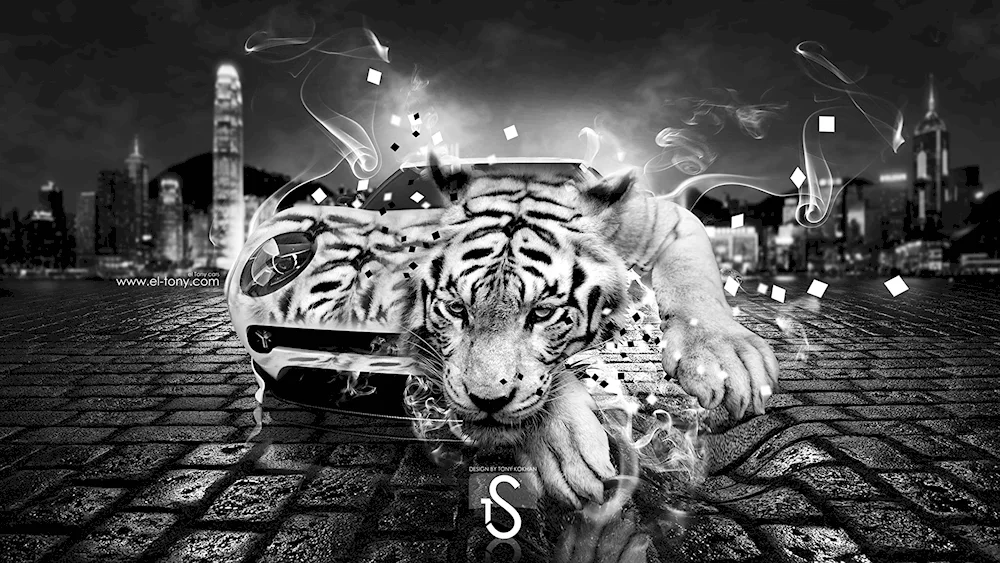 Cool photo wallpaper