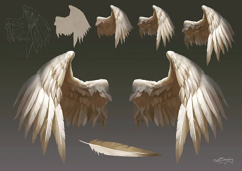 Wings reference of an angel