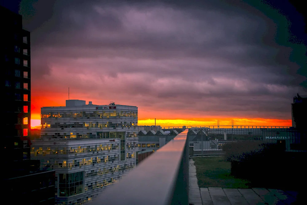 Skyscraper roof