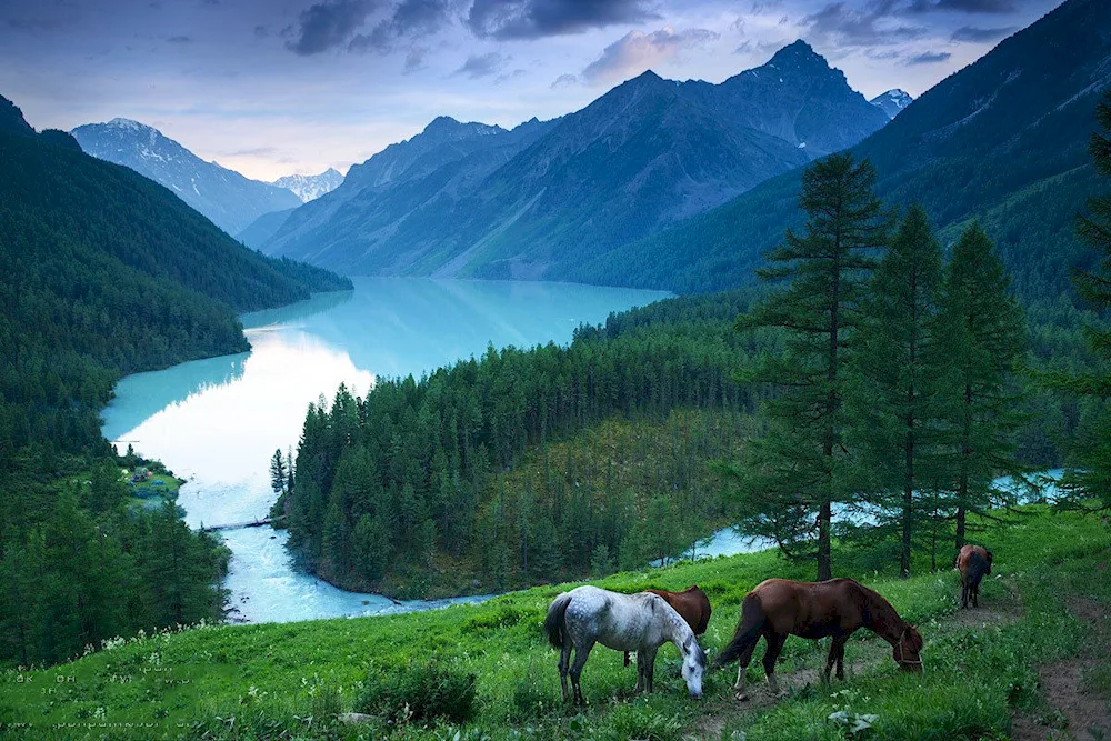 Kucherlin Lakes Altai