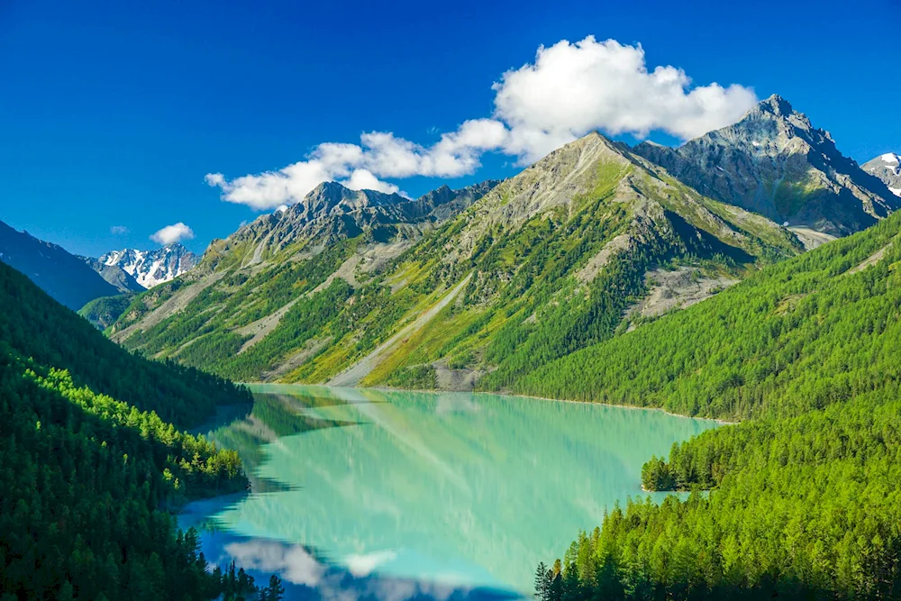 Kucherlin Lake Altai