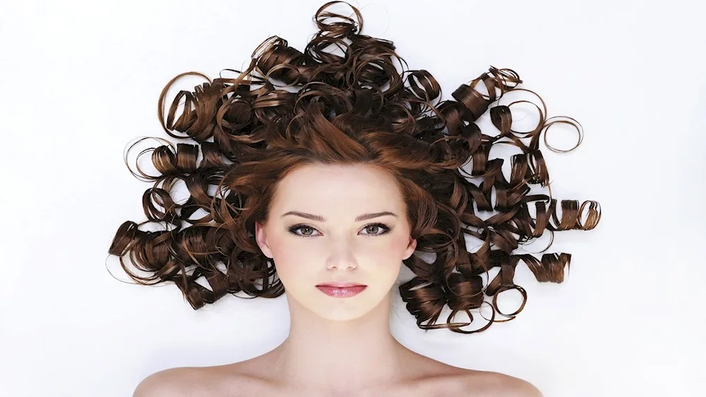 Hair curler curlers