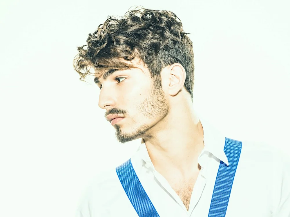 Curly men's hairstyles