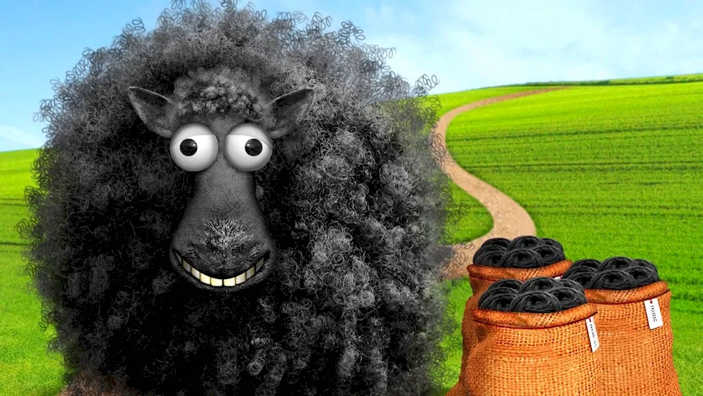 Curly Sheep