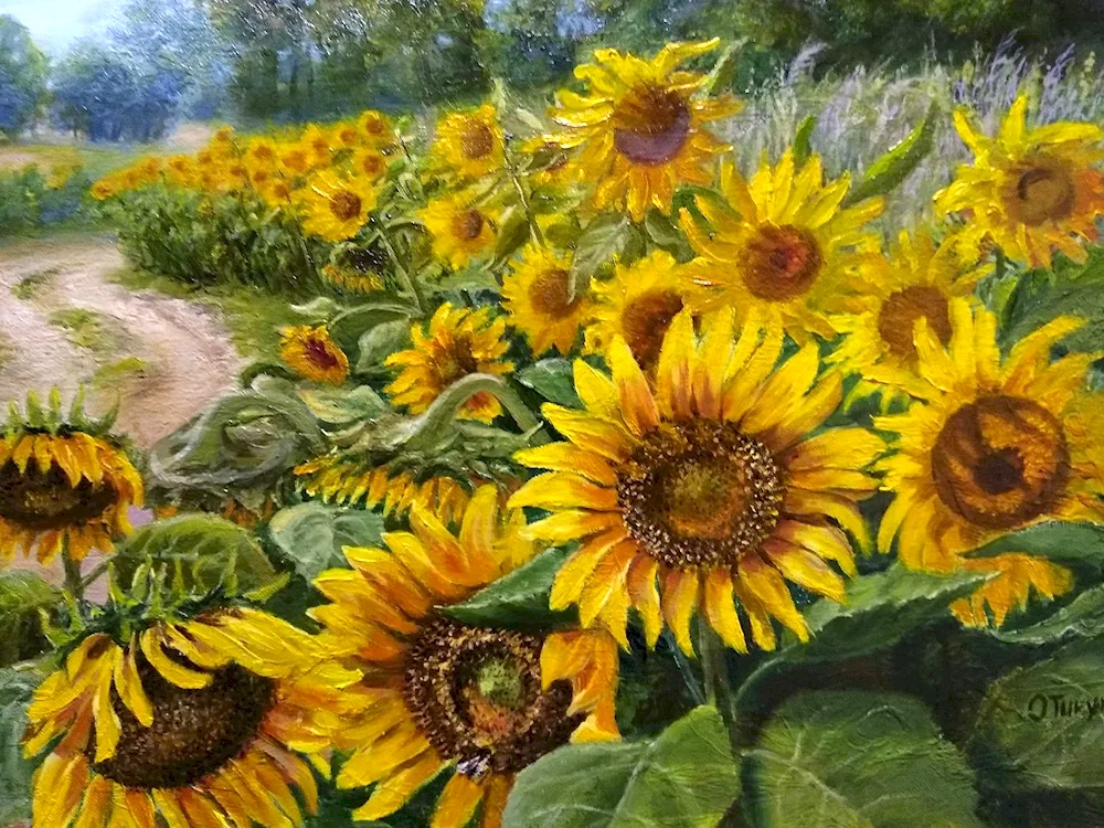 Quinji Sunflowers