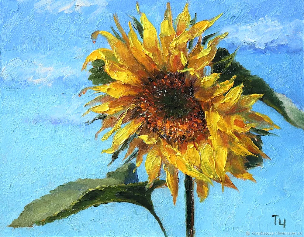 Quinji Sunflowers