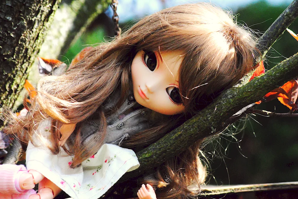 Beautiful dolls