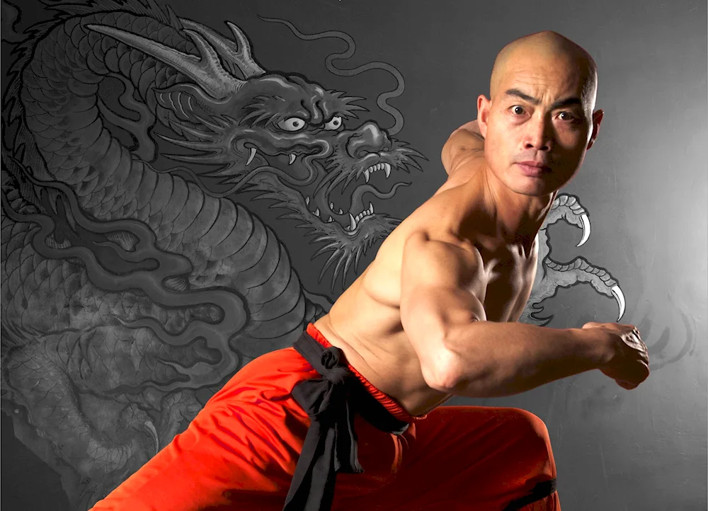 Andy Lau Shaolin