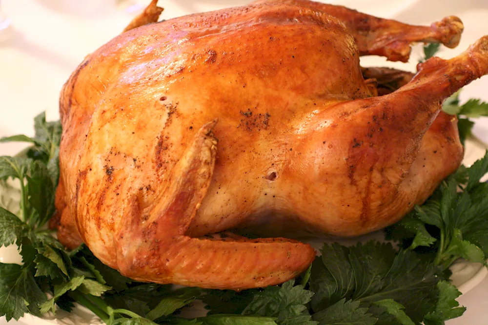 Grilled goose