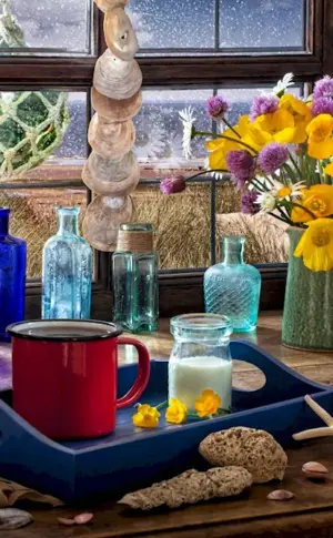 Still life pitcher