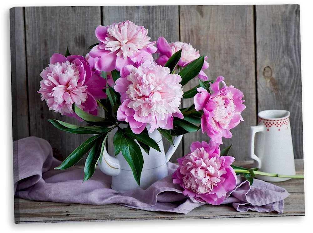 Ladymaestra Peonies