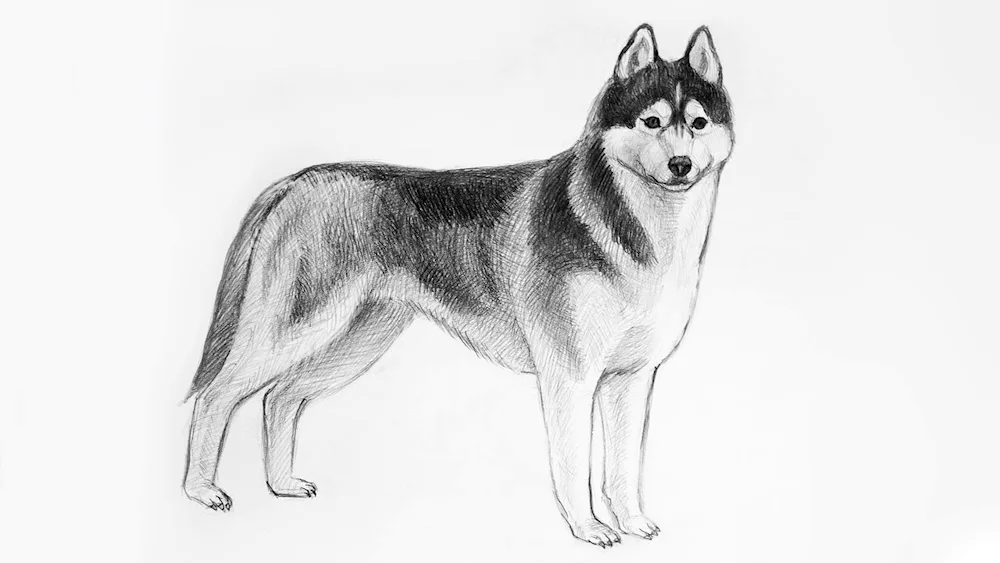 Malinua